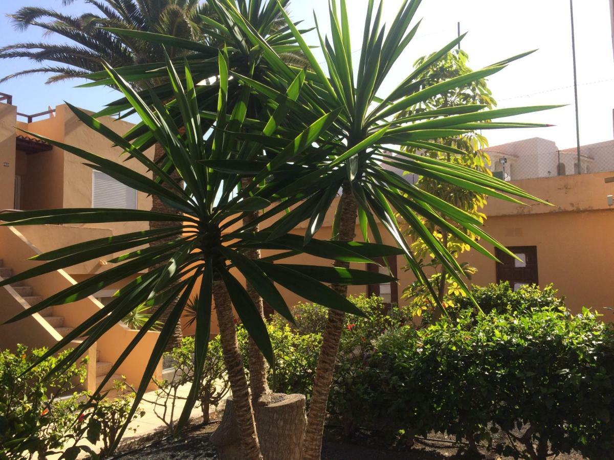 Lasvistas Corralejo Kültér fotó